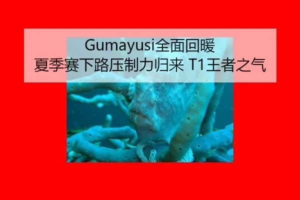 quan-mian-hui-nuan-xia-ji-sai-xia-lu-ya-zhi-li-gui-lai-wang-zhe-zhi-qi-2-560.jpg