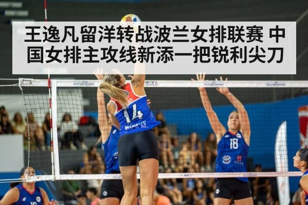 王逸凡留洋转战波兰女排联赛 中国女排主攻线新添一把锐利尖刀