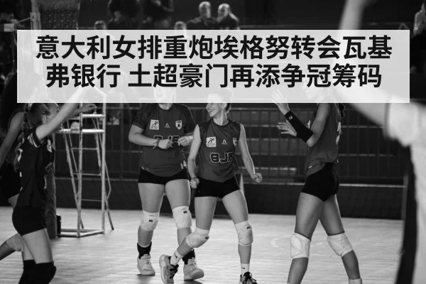 Turkish volleyball league match